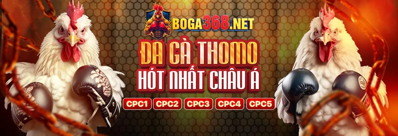 Đá gà trực tuyến kịch tính trên Kwin68 App